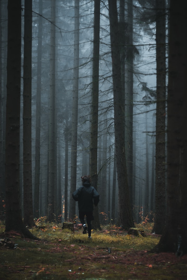 The History and Significance of Sacred Trees