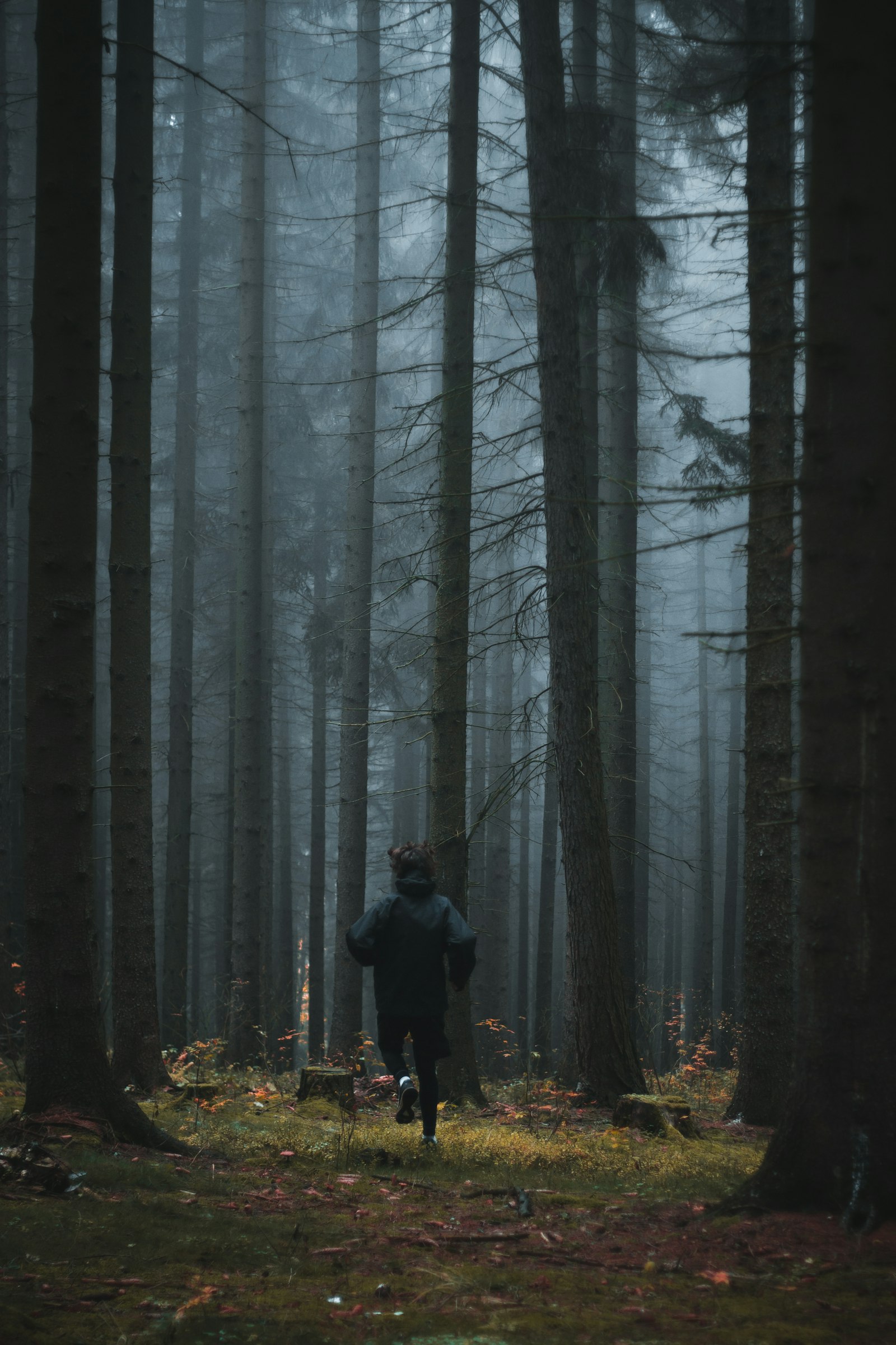 Canon EOS 700D (EOS Rebel T5i / EOS Kiss X7i) + Canon EF 50mm F1.8 II sample photo. Person running in forest photography