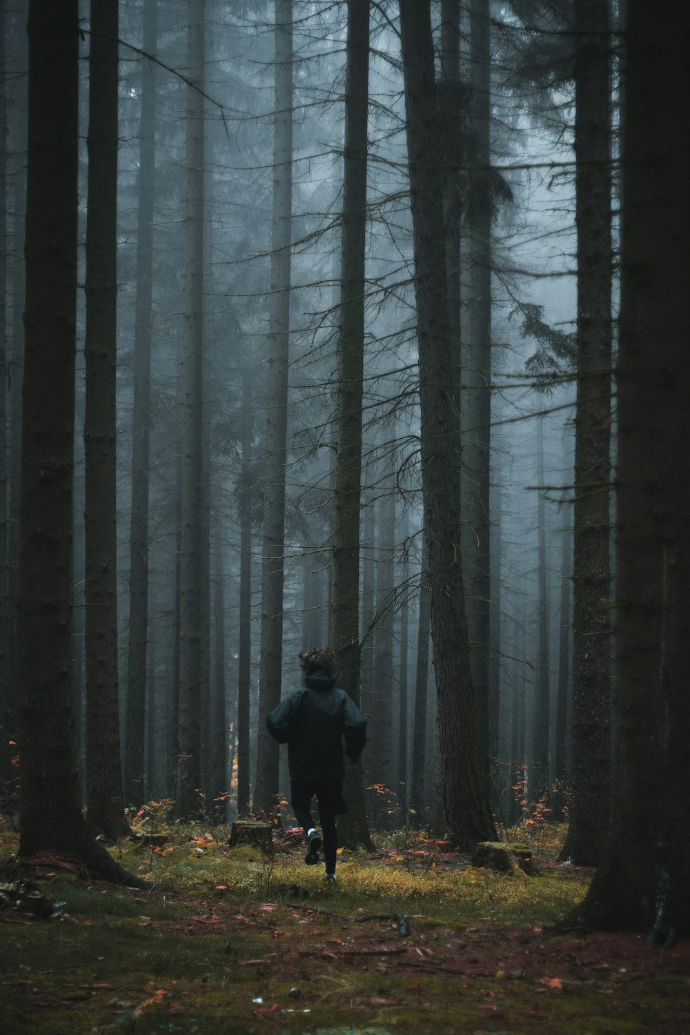 personne courant dans les arbres de la forêt avec de la brume