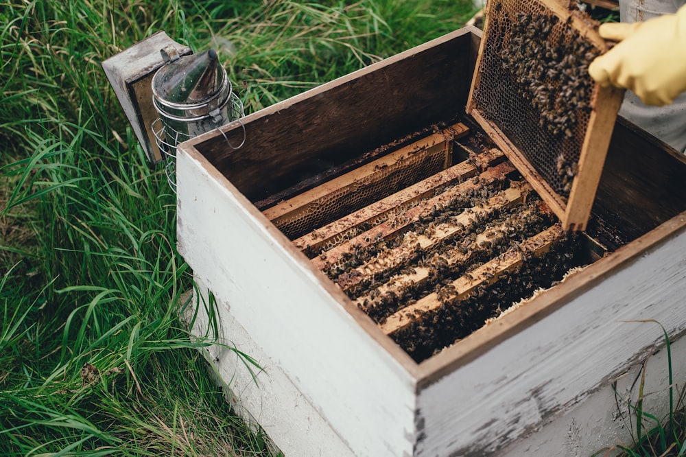 person removing a brown woooden artificial bee hive from a box