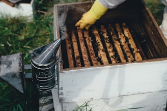 bee hive in storage box