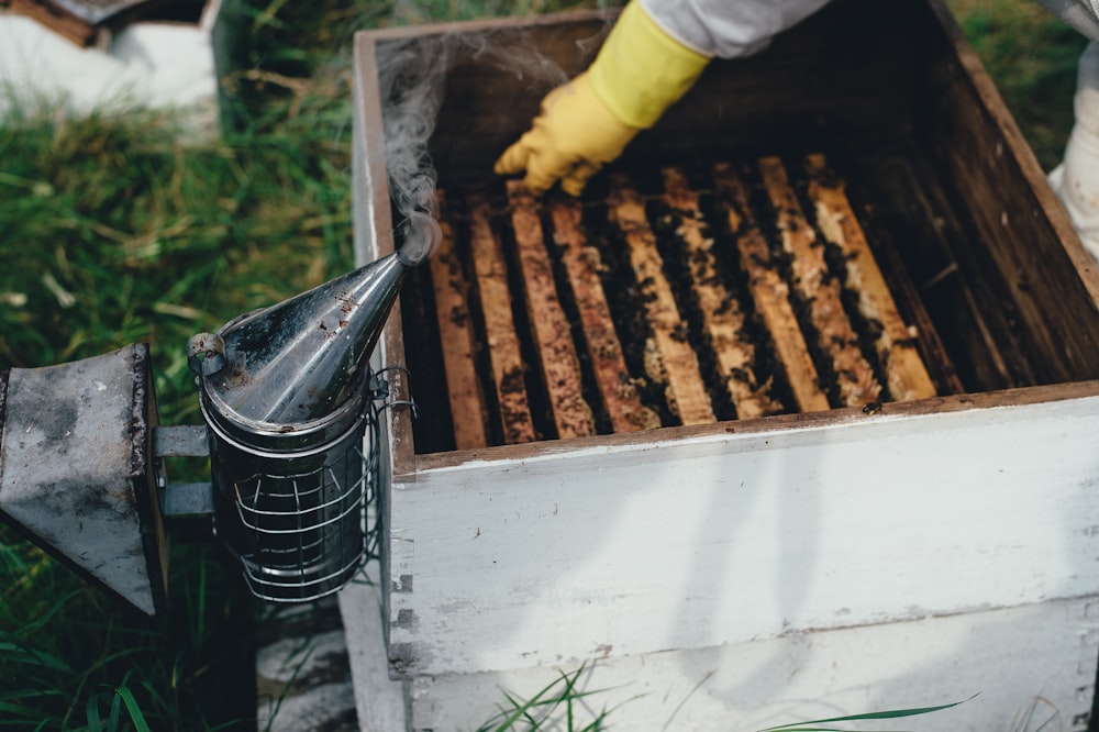 bee hive in storage box