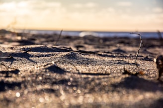 A sunlit portrait session on a sandy beach with soft waves in the background.