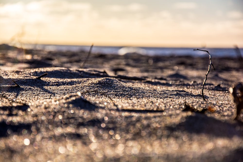 fotografia de foco seletivo de areia