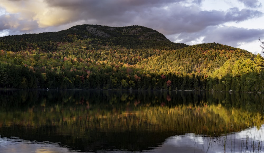 landscape of river and mountain