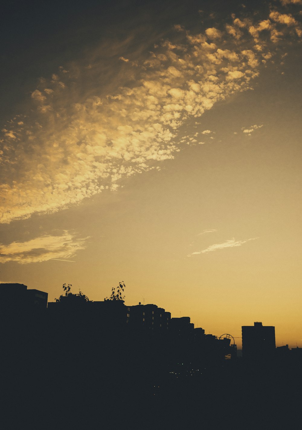 silhouette photo of buildings