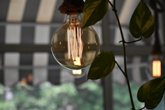 A glowing LED bulb illuminating a cozy, green-themed living room.