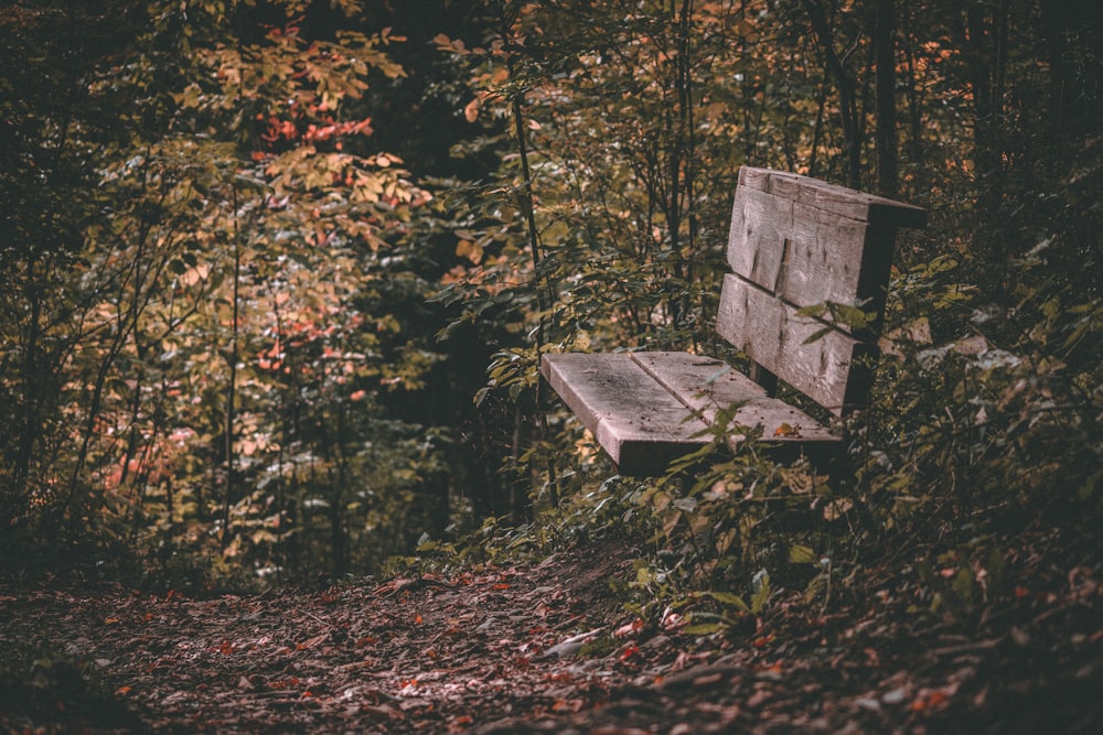 森の上の茶色の木製ベンチ
