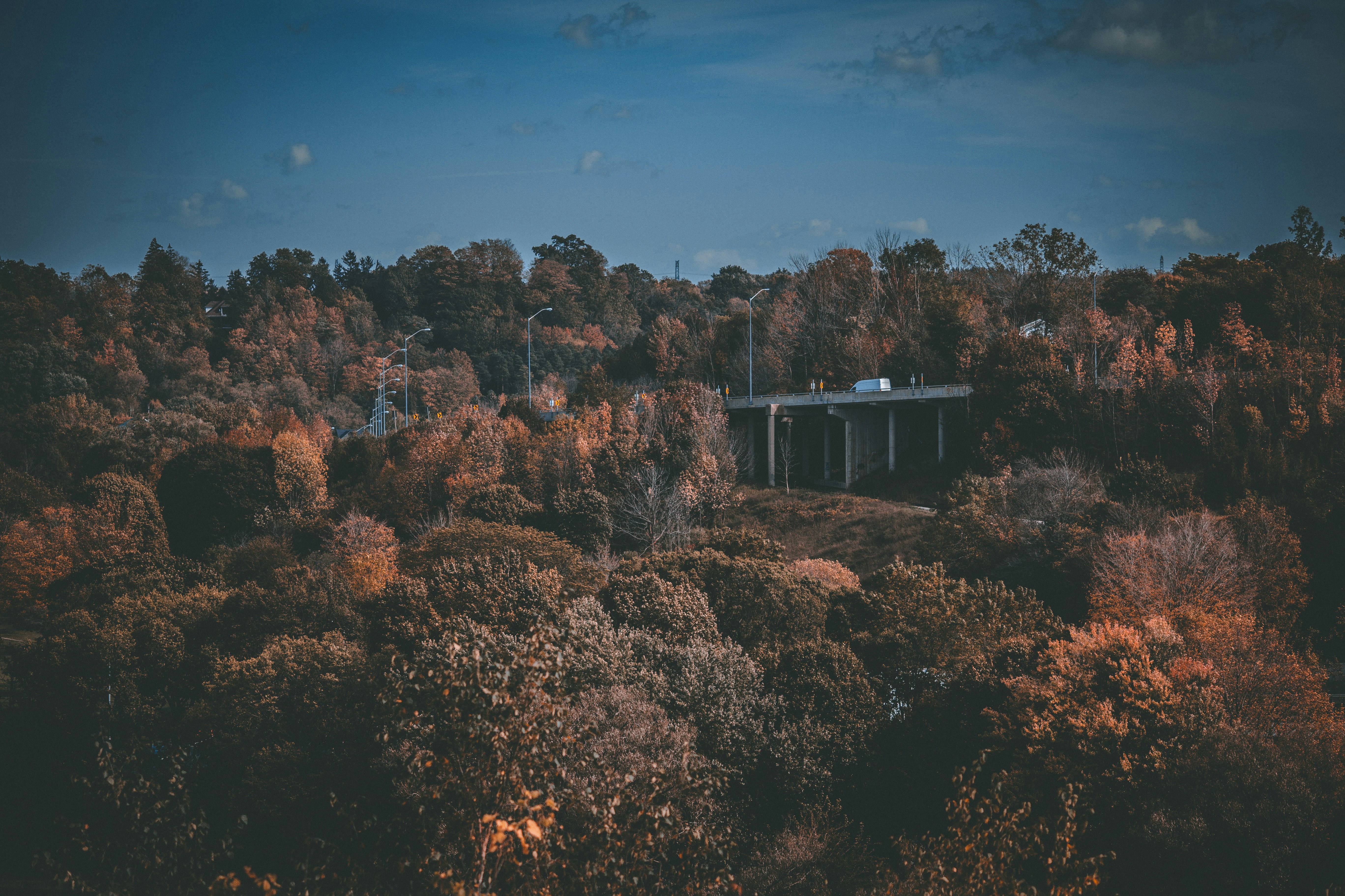 Photo by son_of_media