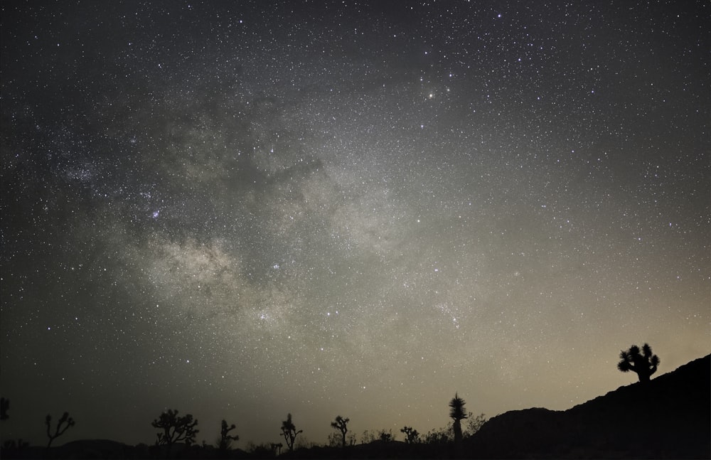 Cielos estrellados