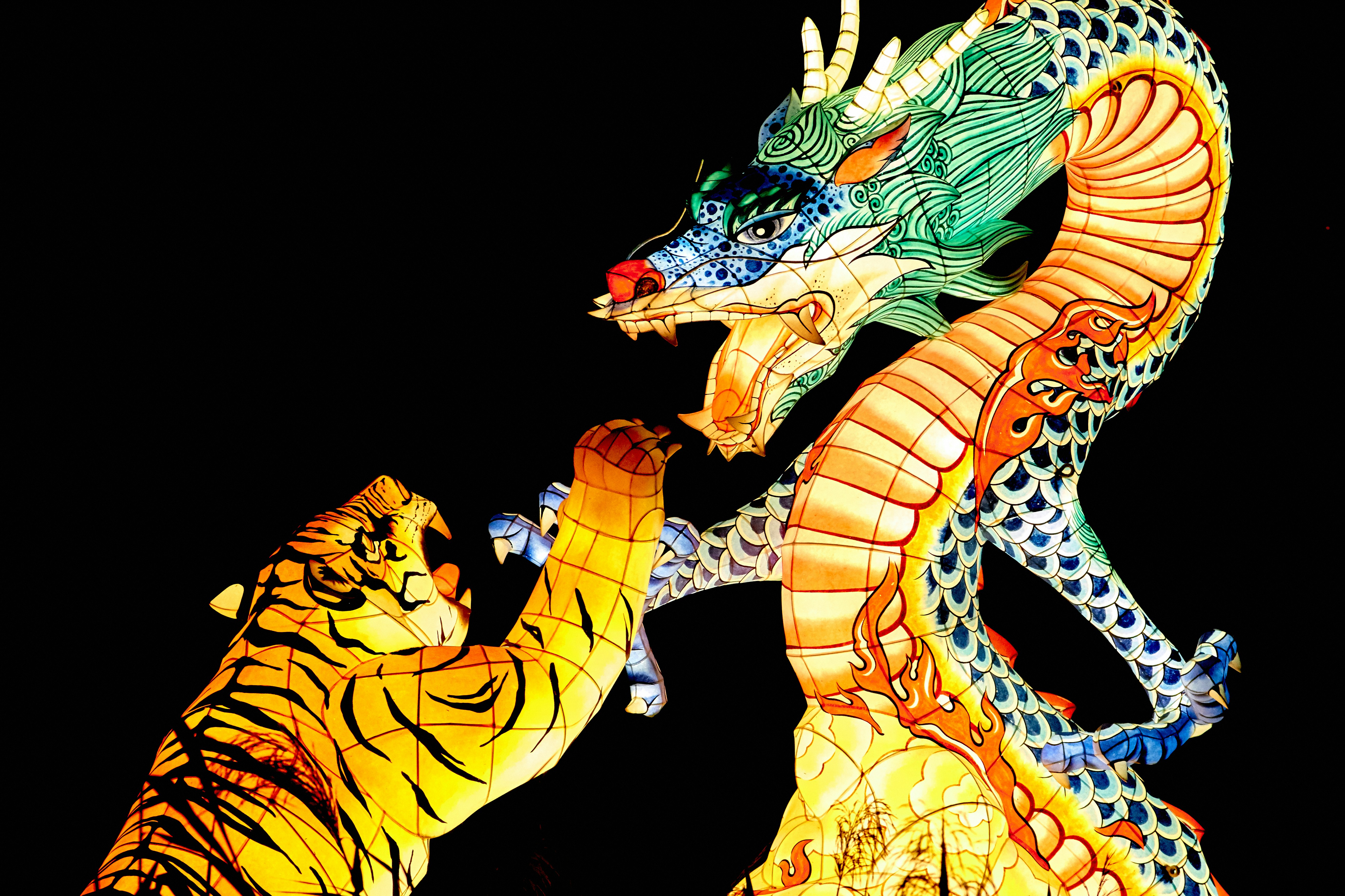 tiger and dragon illustration