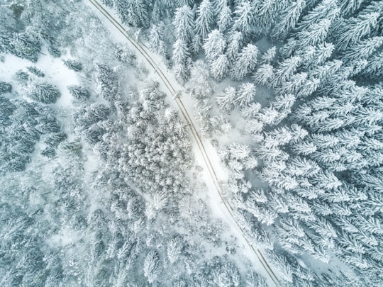 bird's eye view of snow forest in Schladming Austria