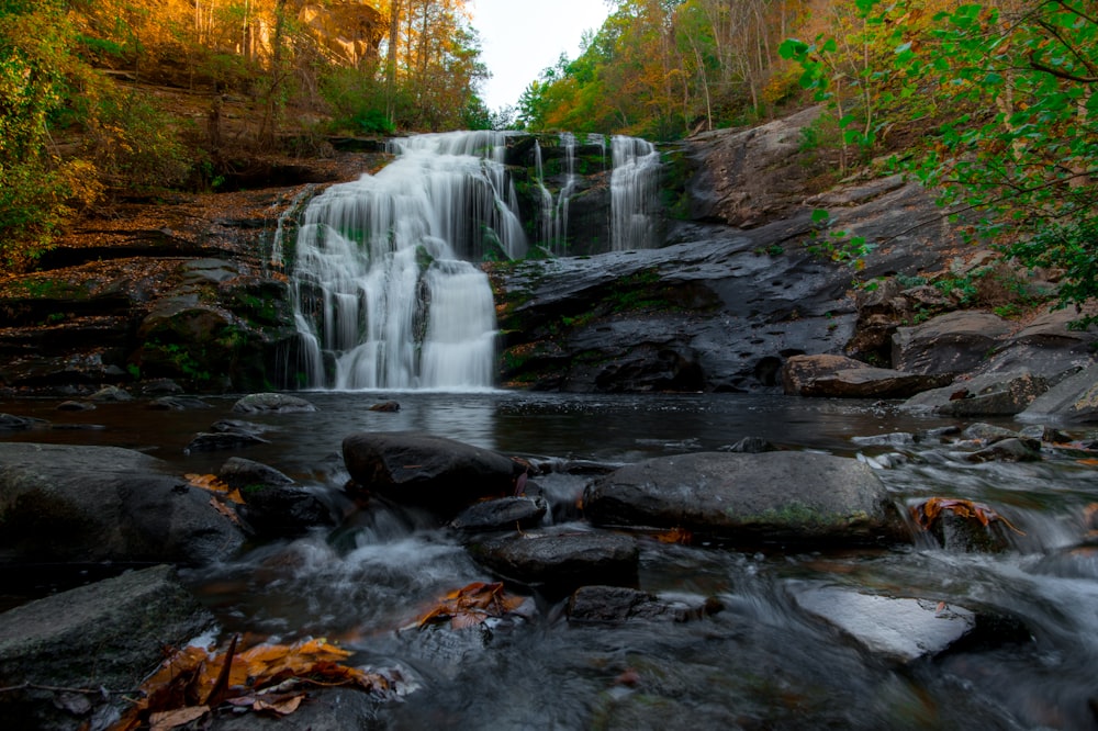 Wasserfall umgeben von Wald