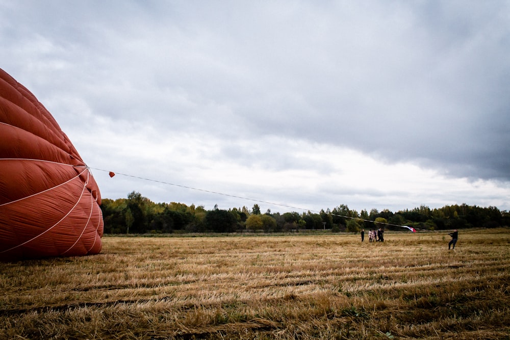 hot air balloon landed on green field