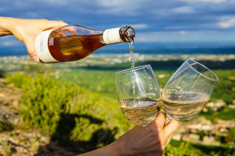 person pouring wine in glasses