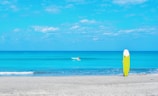 Surfer woman poised on her board, waves rolling behind her under a bright sky.