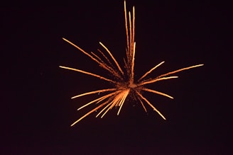 brown fireworks on sky during night time