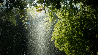 A serene meditation scene with soft sunlight filtering through leaves, evoking peace and balance.