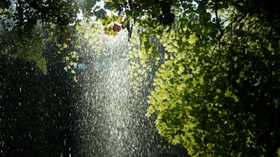 A serene moment during a sound healing session with gentle light filtering through leaves.