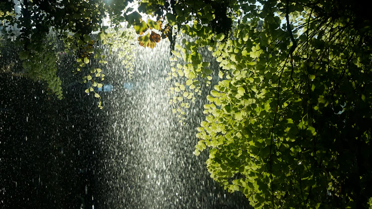 A serene meditation scene with soft sunlight filtering through leaves, symbolizing harmony and inner peace.