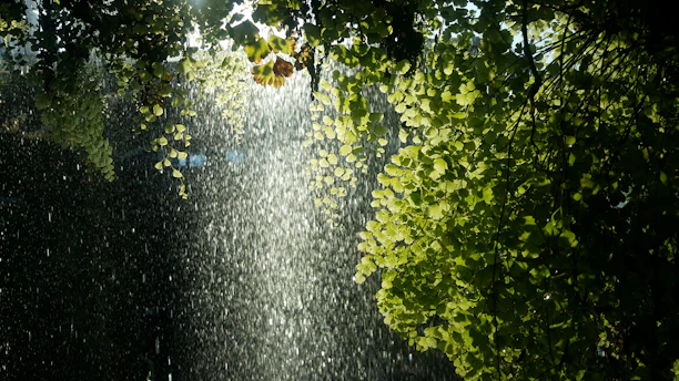 A serene meditation scene with soft sunlight filtering through leaves, evoking peace and balance.