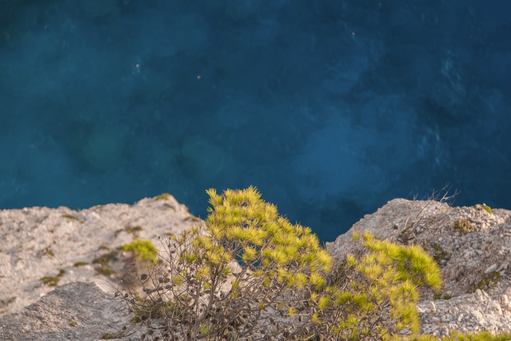 Vue de dessus de la falaise