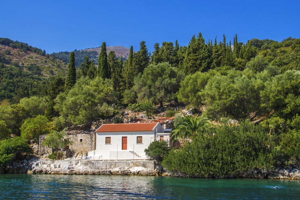 house beside near of water