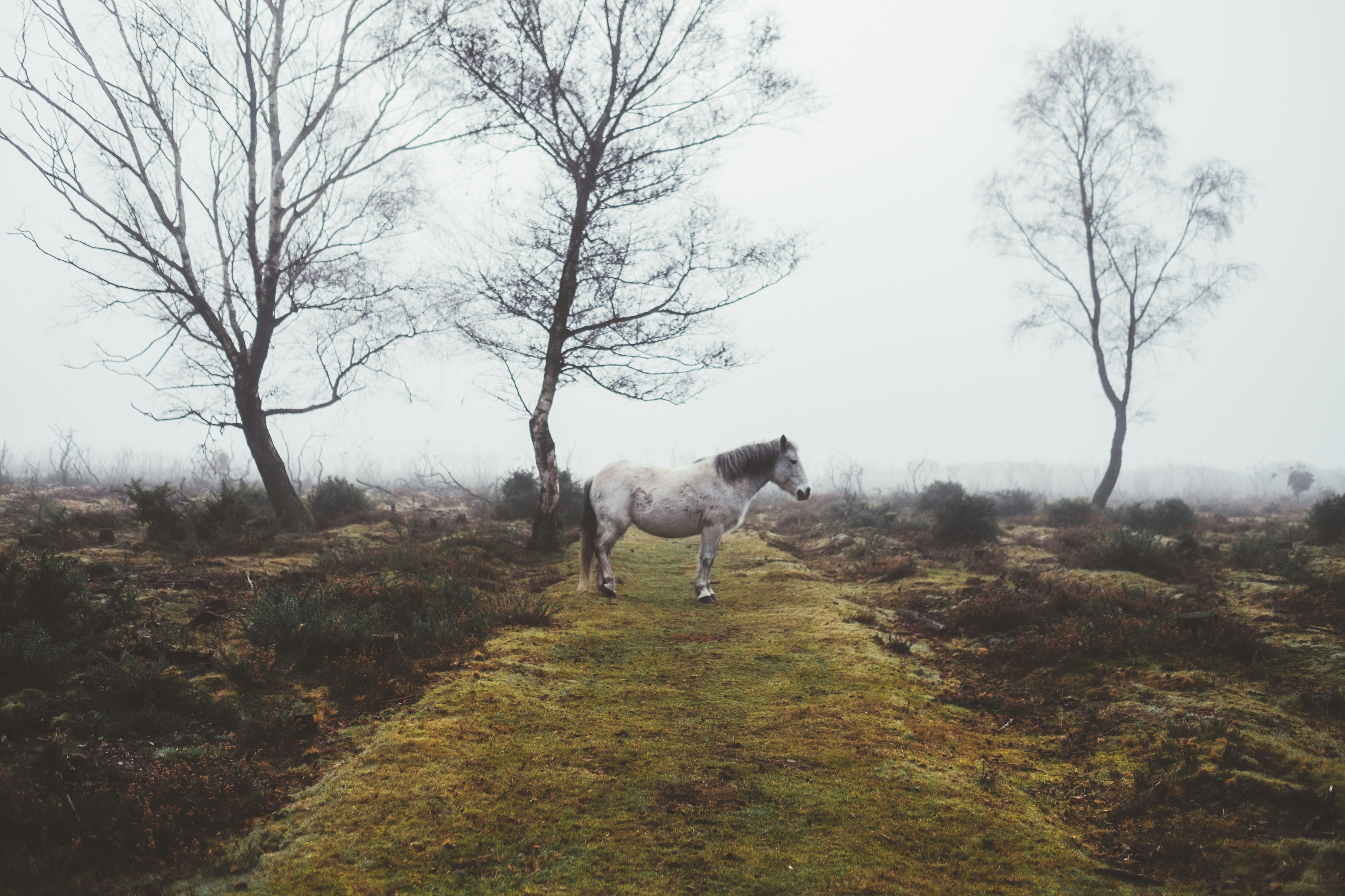 Photo by anniespratt