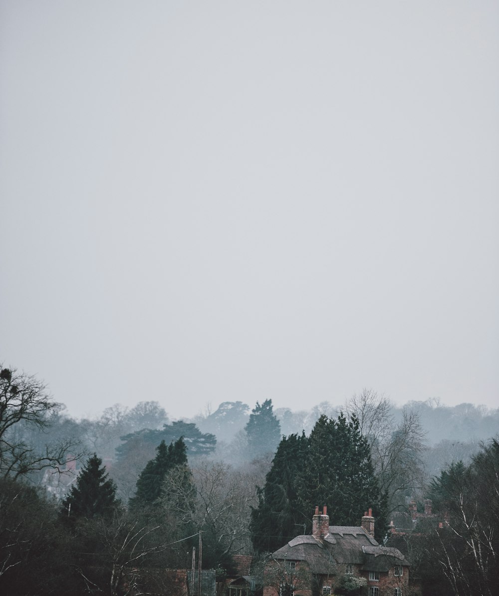 gray house beside trees with cloudy sky