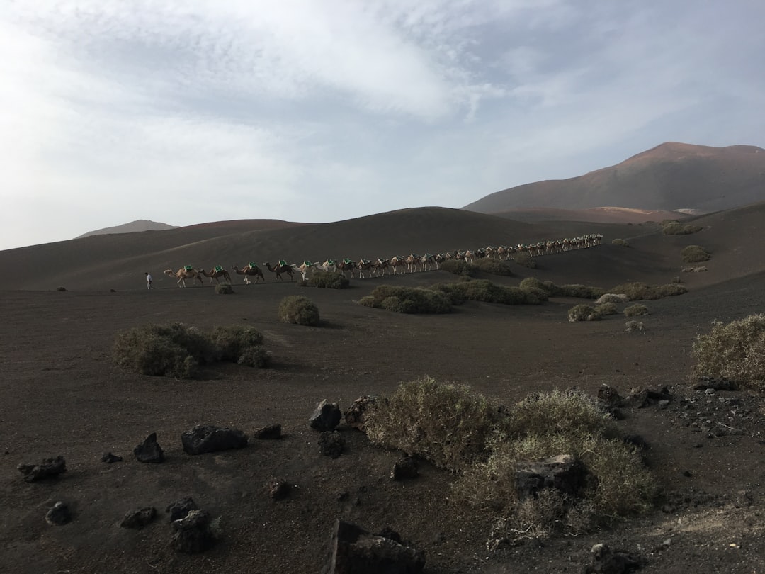 travelers stories about Desert in Timanfaya National Park, Spain