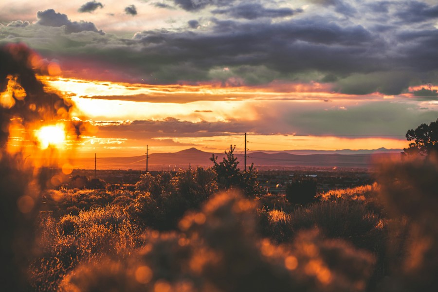 The Santa Fe Trail: Commerce Across the Southwest