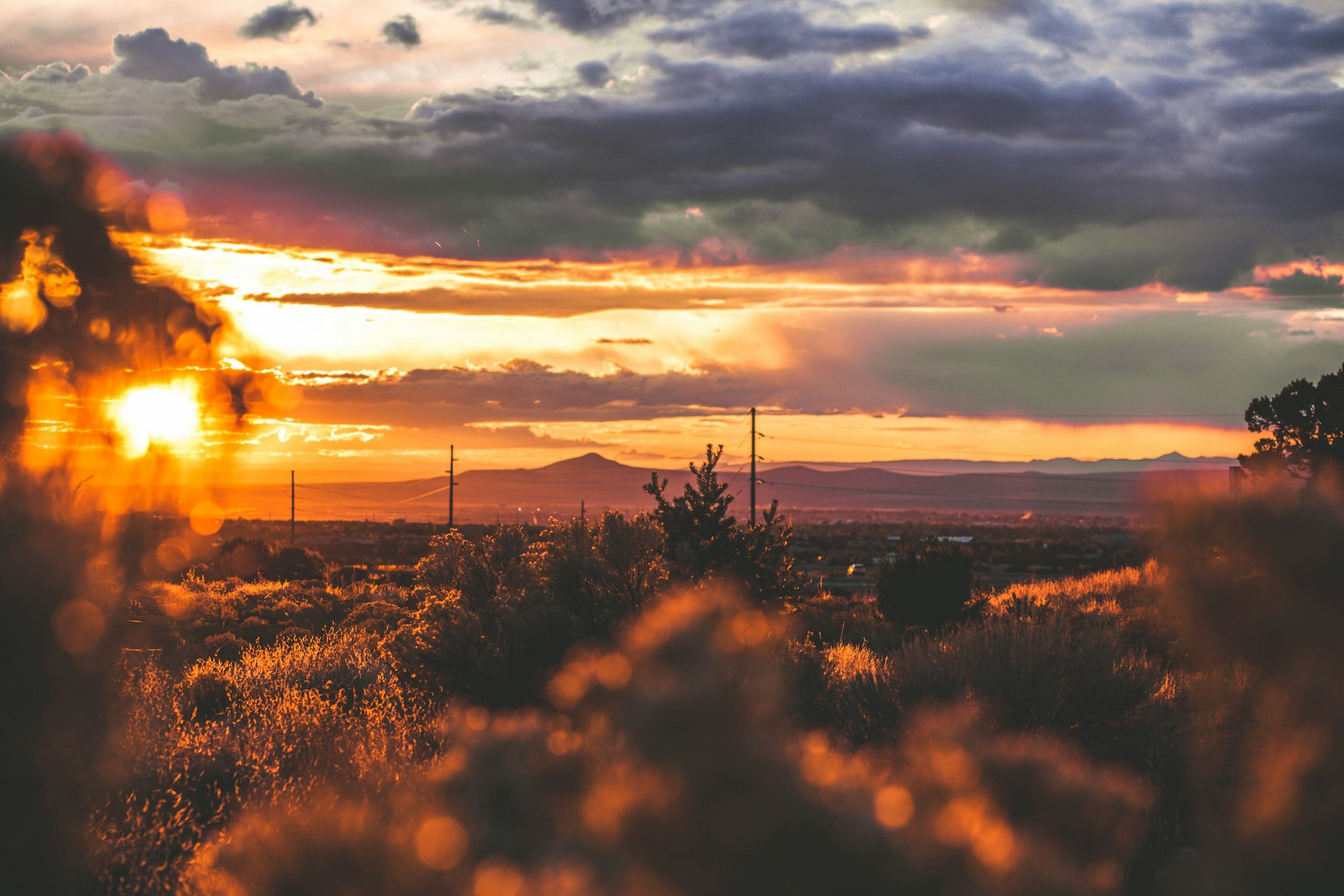 Albuquerque image