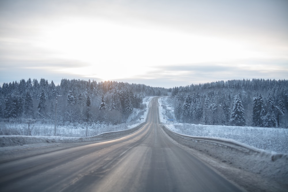 empty road towards forest