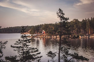 landscape photograph of body of water near forest