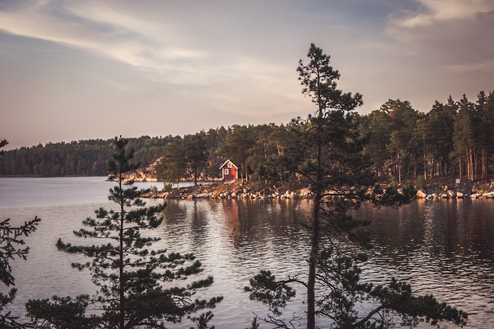 landscape photograph of body of water near forest