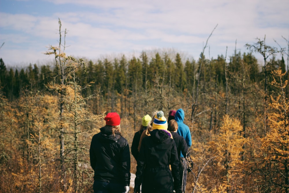 people walking surrounded by trees