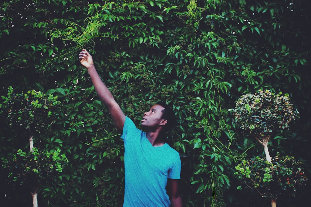 man standing while reaching leaf during daytime