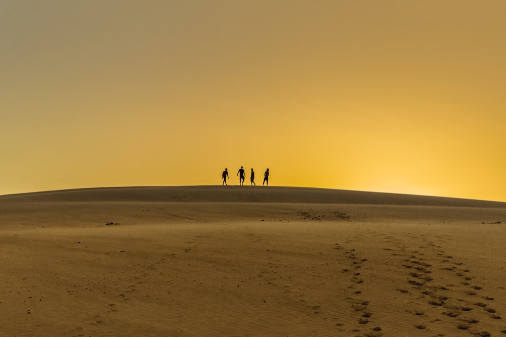 silhouette photography of four person