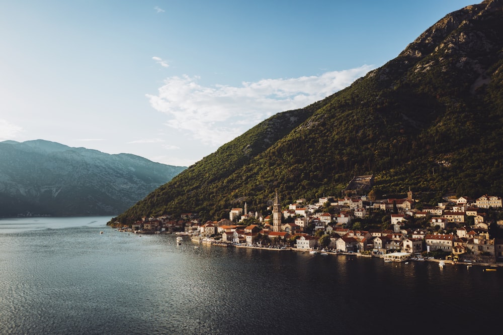 bird's eye view of houses beside body of water