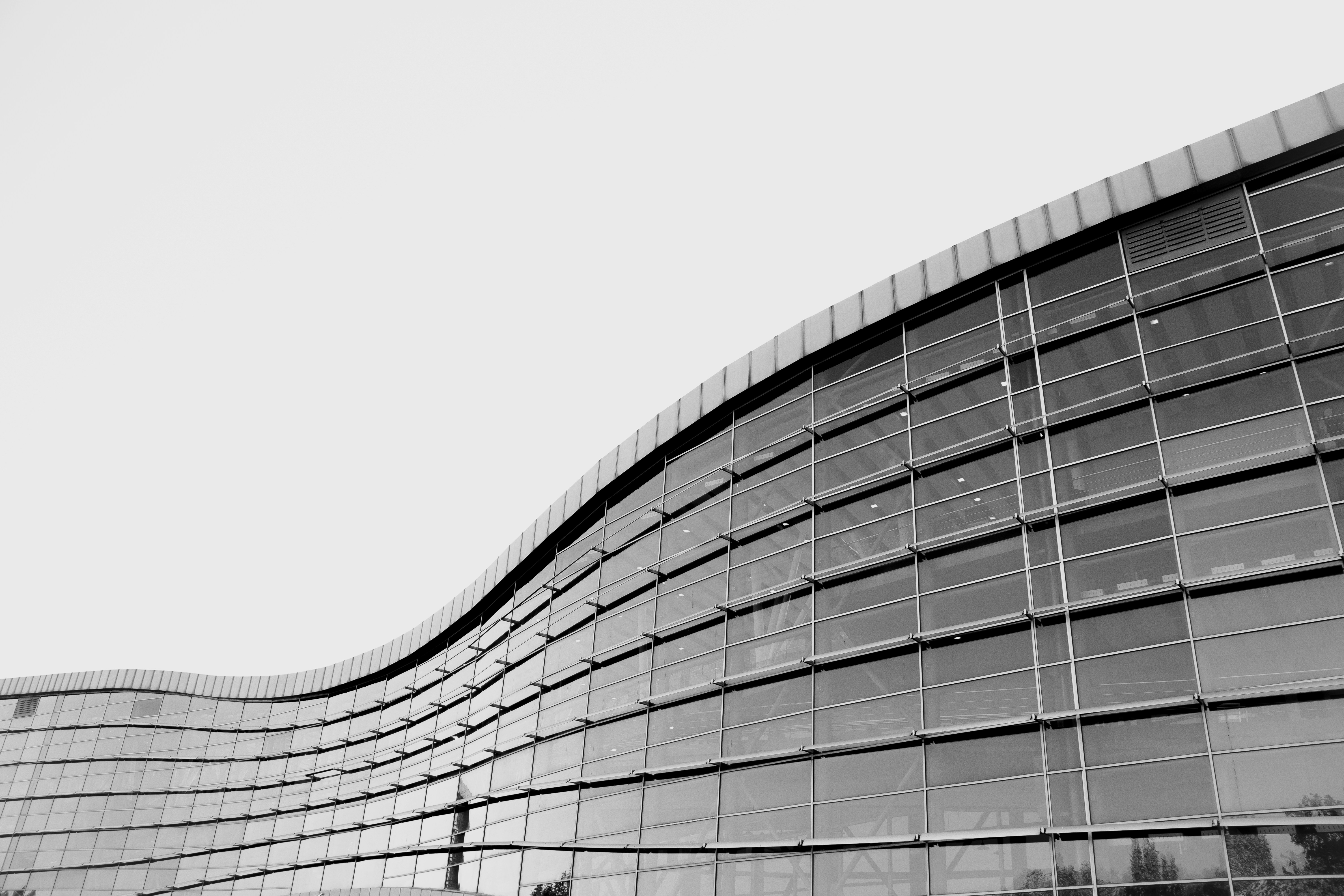 Photo by arashasghari