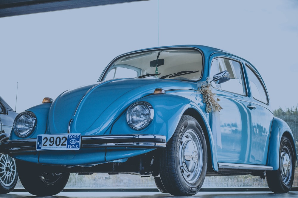 blue Volkswagen Beetle