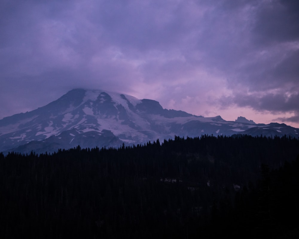Mt Rainier Pictures Download Free Images On Unsplash Images, Photos, Reviews