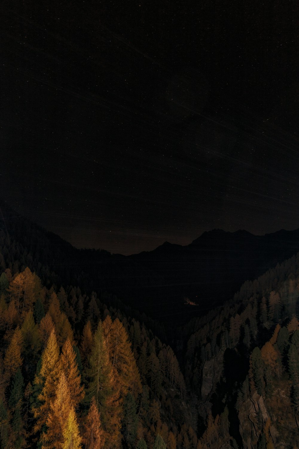 Ein Blick auf einen Wald bei Nacht von einem hohen Standpunkt aus