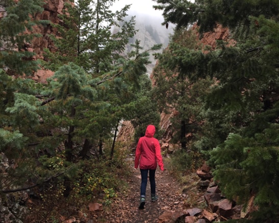 A person in a red jacket walks along a path surrounded by lush green pine trees and rocky terrain. The atmosphere is misty, with fog visible in the distance, giving a sense of tranquility and introspection. The trail is covered in small rocks and leaves, and the surrounding cliffs add to the rugged, natural landscape.