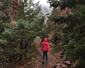 A person in a red jacket walks along a path surrounded by lush green pine trees and rocky terrain. The atmosphere is misty, with fog visible in the distance, giving a sense of tranquility and introspection. The trail is covered in small rocks and leaves, and the surrounding cliffs add to the rugged, natural landscape.