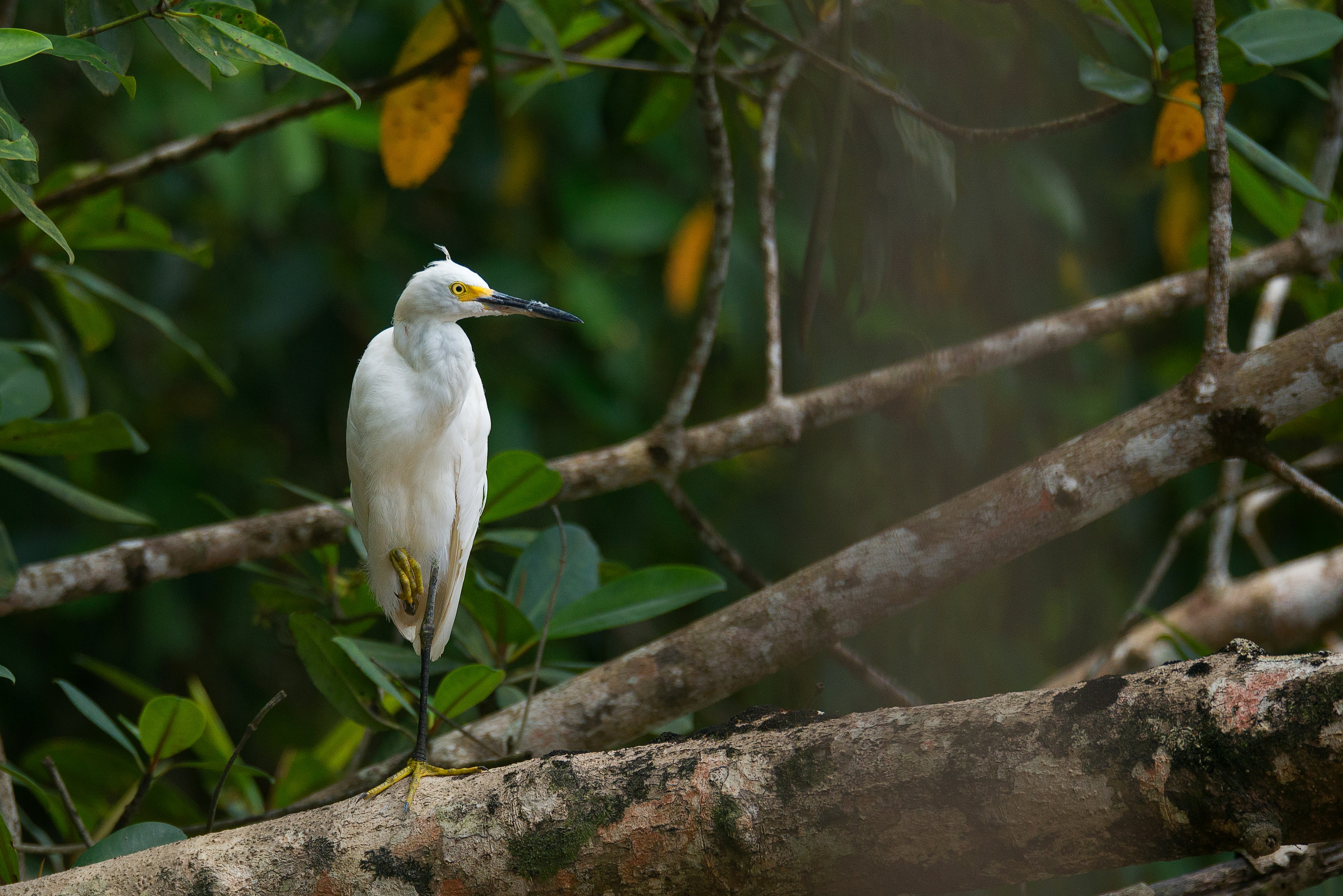 Photo by vincentvanzalinge