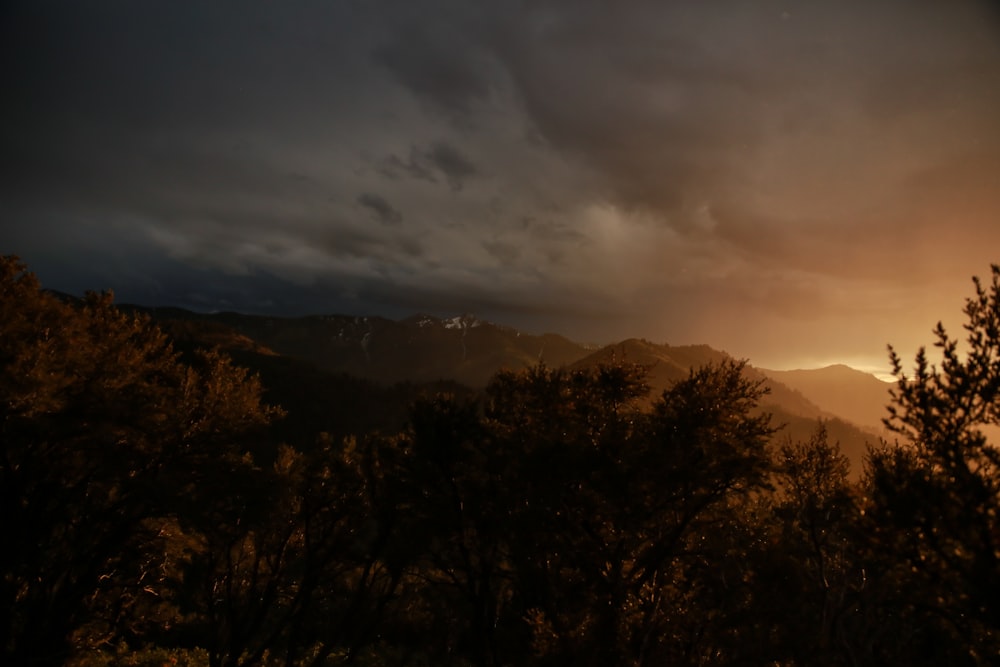 tree with mountain under cloudy skies