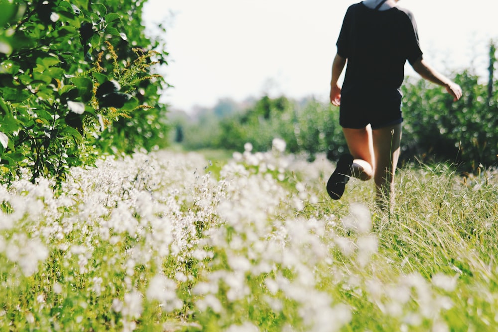 person walking on white flower field