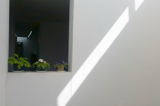A sunny window sill decorated with tameia’s folded garments and small potted plants casting delicate shadows.