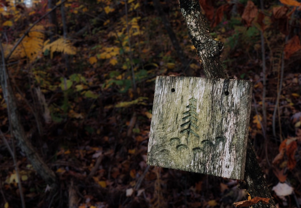 ein Schild, das an einem Baum im Wald steht